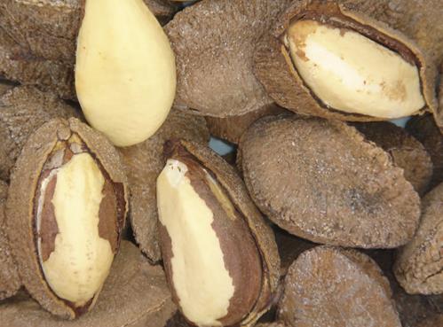 鮑魚果怎么吃？鮑魚果酥餅的做法