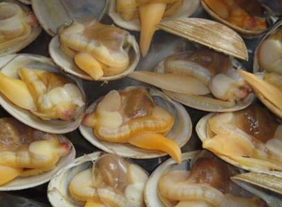 黃蜆子怎么吐沙子？怎么讓蜆子吐沙子？黃蜆子的清洗方法