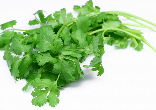 香菜爆里脊怎么做？吃香菜的好處