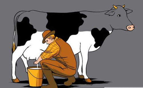 “生鮮奶”存在感染布魯氏菌病健康風(fēng)險(xiǎn)