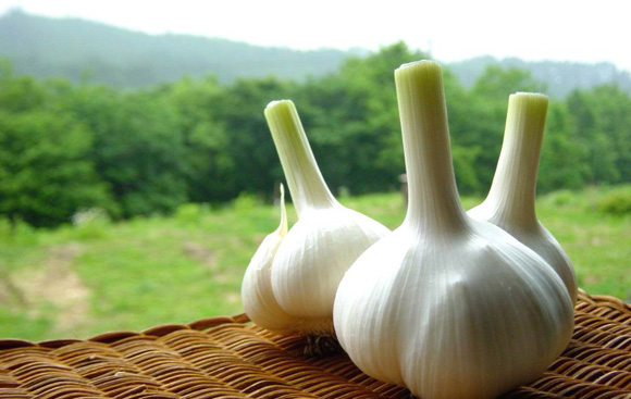 大自然的饋贈,天然防胃癌這食物盤點