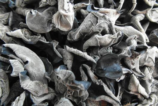 干木耳能用熱水泡嗎？熱水泡干木耳好嗎