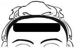 骨相圖解：金鎖華蓋骨