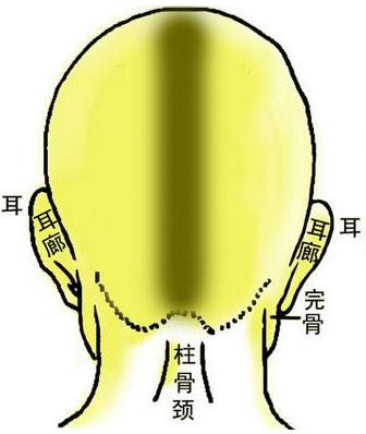 骨相圖解：炁懸針骨
