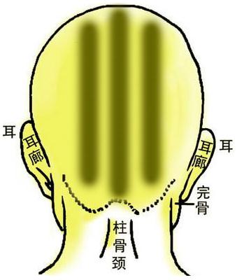 骨相圖解：川字骨