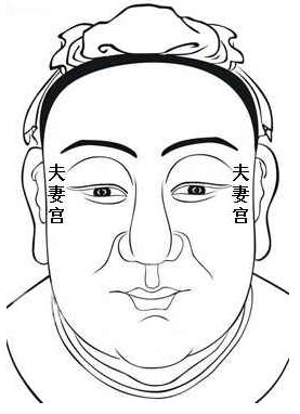 面相算命圖解：面相十二宮圖之妻妾宮