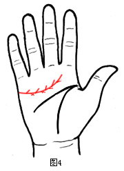 女人手相算命圖解：“萬人迷”的手相