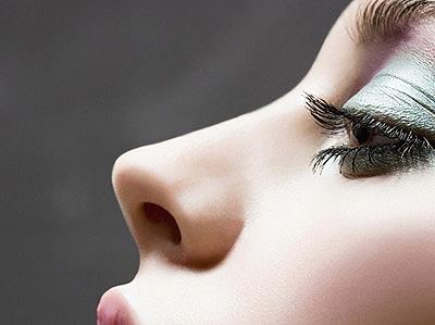 鼻子看相：從鼻子看一生的財運和事業運