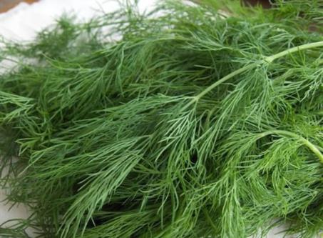 最高鈉蔬菜：茴香、芹菜、茼蒿，不用放鹽。