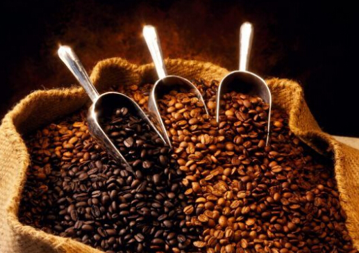 咖啡因不干擾愛熬夜的“夜貓子”型人群的睡眠