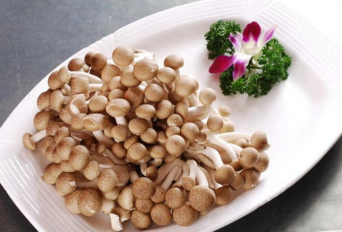 寶寶能吃蟹味菇嗎?怎樣吃蟹味菇才安全