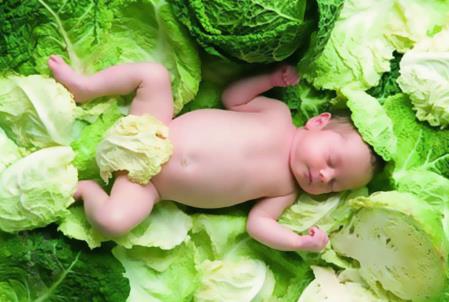 寶寶怎么補(bǔ)礦物質(zhì)？含礦物質(zhì)的蔬菜和水果