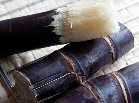 寶寶能吃甘蔗嗎？寶寶吃甘蔗的食用禁忌