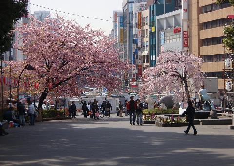 去日本應注意什么商務文化禮儀及忌諱