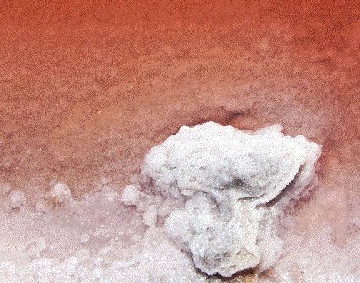 法國驚現(xiàn)“血水湖”：湖水如紅海湖水中的鹽結(jié)晶