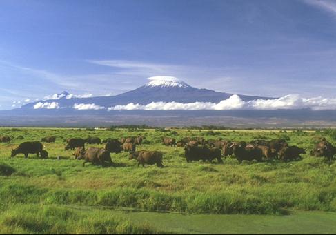 世界上最大的高原是什么？巴西高原的氣候特征