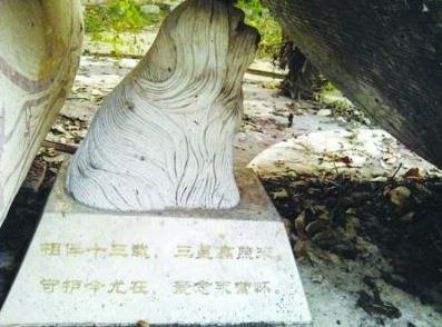 網曝紫金山麓現史上最貴“天價”狗墓，官方回應：狗墓系雕像遭業主曲解