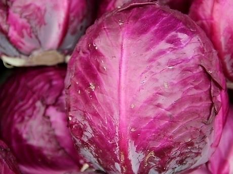 孕婦能吃紫甘藍嗎?孕婦吃紫甘藍的做法