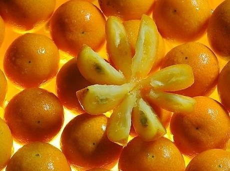孕婦能吃金桔嗎?孕婦吃金桔的做法