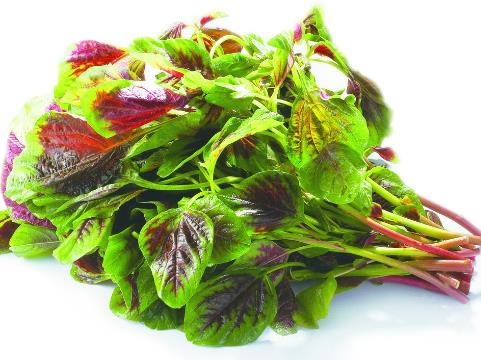 孕婦能不能吃莧菜？孕婦吃莧菜的做法