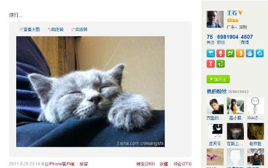 王石新歡田樸珺微博曝光，二人巴西吃烤肉，微博曬同一只貓