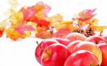 如何讓讓大腦“冷艷高貴”起來？