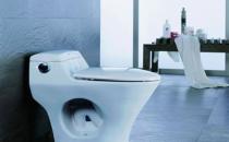 馬桶清理養護需留意 莫讓其成為疾病之源