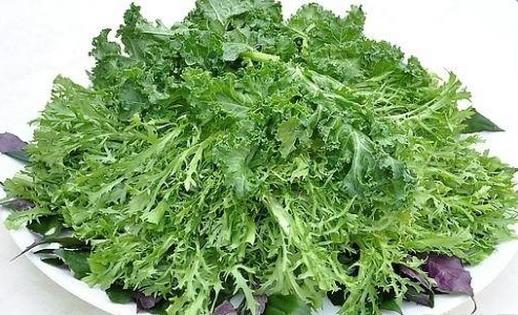 野菜可以吃嗎？孕婦吃野菜有什么好處？