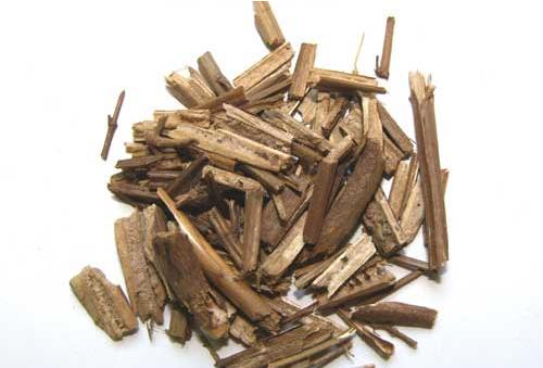 日常破傷風癥狀 我們該如何預防及治療