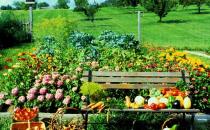 卵巢癌患者應多吃什么蔬菜？