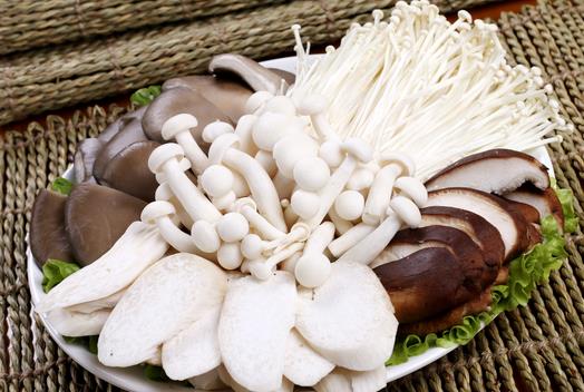 孩子吃食用菌能補腦嗎？孩子吃什么食物補腦