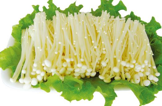 正確認識毛囊炎 毛囊炎傳染嗎？