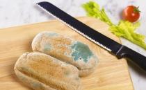 食物發霉了怎么辦？防止食物發霉變質的方法