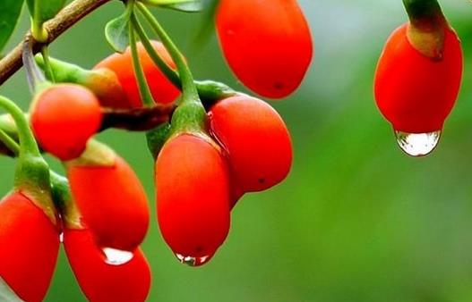 如何預防沙眼的發生？