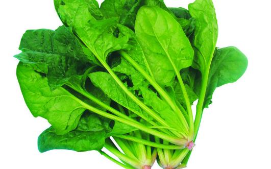 孕婦可以喝飲料嗎？補(bǔ)充營(yíng)養(yǎng)要吃什么？