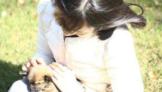 護發食療方：黑豆蜜茶的做法