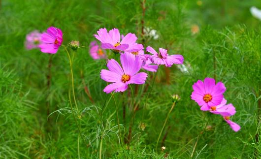 三種拍臉方法讓你擺脫大餅臉！