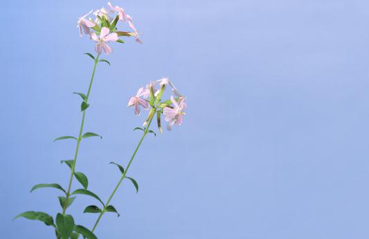 有雙下巴？教你快速消除雙下巴！