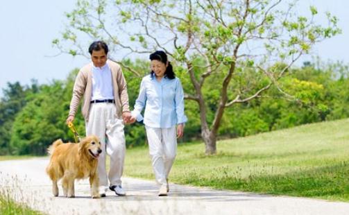 脾胃濕熱的癥狀-脾胃濕熱喝什么茶？