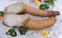 象拔蚌熱銷中國 象拔蚌的營養(yǎng)價(jià)值