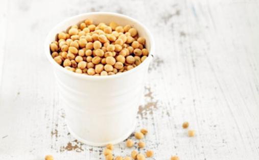 女人腎虛的癥狀-女人如何補腎?