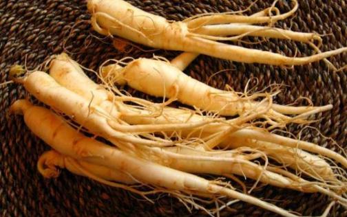 人參有什么功效？人參飲食禁忌