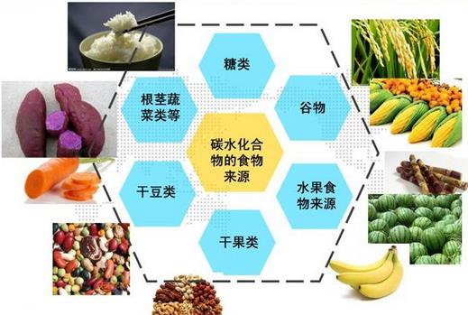 身體需要哪些營養素 缺乏營養素的隱患