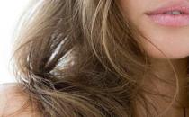 男性脫發補腎精 女性脫發養肝血