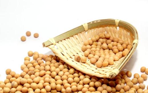吃黃豆有什么好處？黃豆的蛋白質(zhì)極高