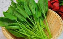 吃什么能增強免疫力？紫薯增加免疫