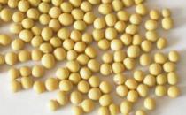 大腦需要什么營養素？吃什么能補腦？