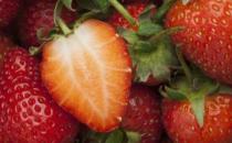 吃什么食物能夠防癌？苦瓜防癌一級棒