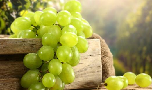吃葡萄不吐葡萄皮有啥好處？