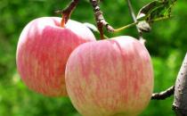 蘋果竟是最骯臟的水果？怎么吃蘋果才健康？